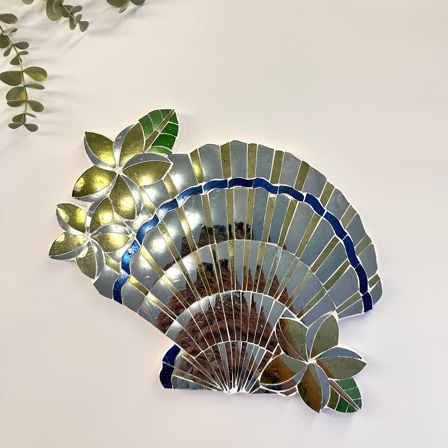 Ocean Fan Shell
